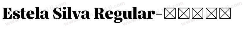 Estela Silva Regular字体转换
